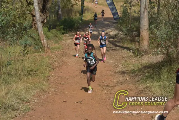 Shannon Mashinini — CLXC