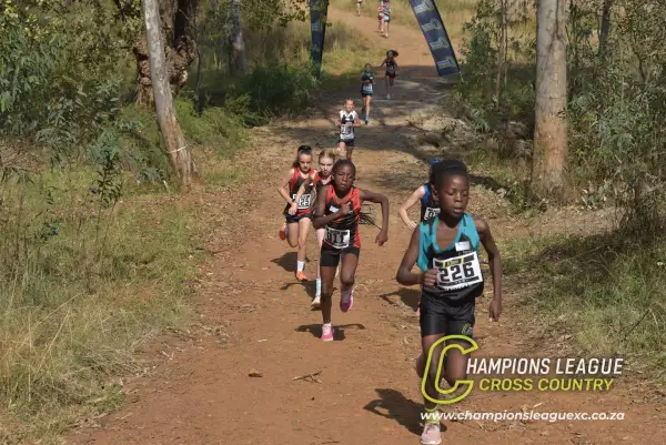 Shannon Mashinini — CLXC