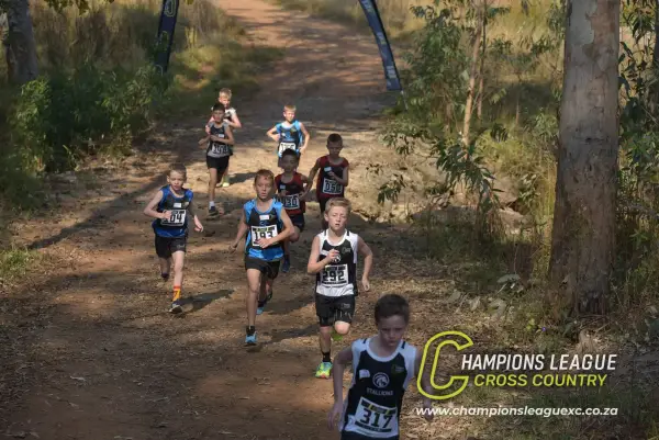 Jorg Swanepoel — CLXC