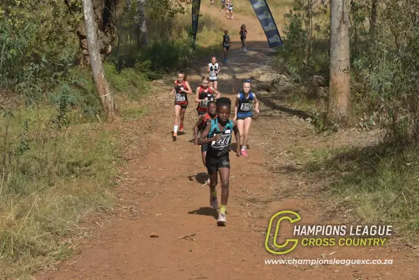 Shannon Mashinini — CLXC