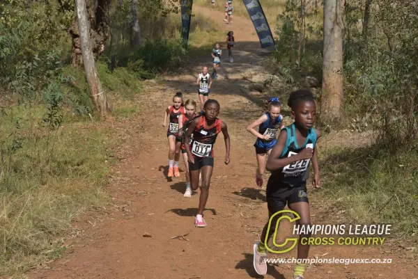 Shannon Mashinini — CLXC