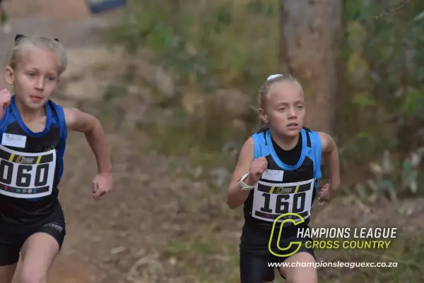 Q-zelle Harrison — CLXC