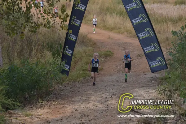Q-zelle Harrison — CLXC