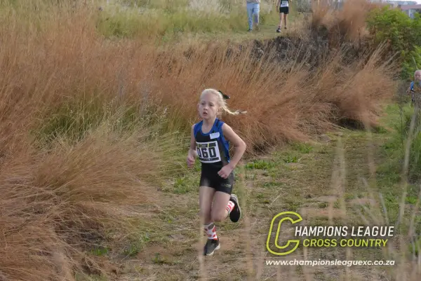 Q-zelle Harrison — CLXC