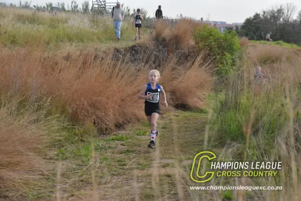 Q-zelle Harrison — CLXC