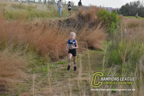 Q-zelle Harrison — CLXC