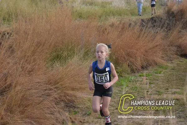 Q-zelle Harrison — CLXC