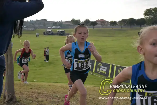 Q-zelle Harrison — CLXC