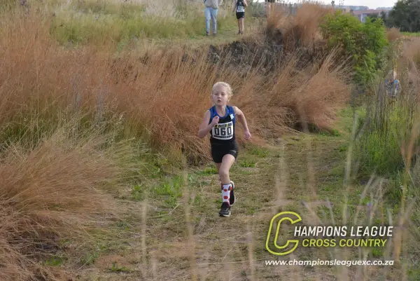 Q-zelle Harrison — CLXC