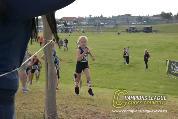 Q-zelle Harrison — CLXC