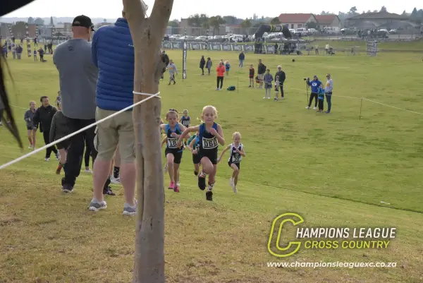 Q-zelle Harrison — CLXC