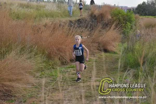 Q-zelle Harrison — CLXC