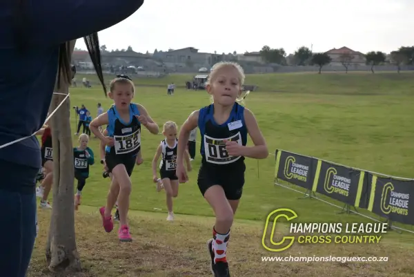 Q-zelle Harrison — CLXC