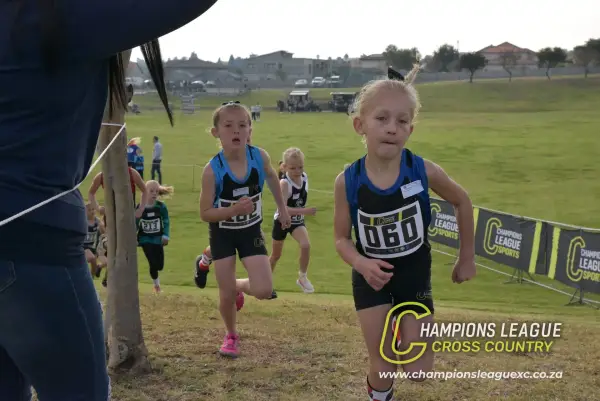 Q-zelle Harrison — CLXC